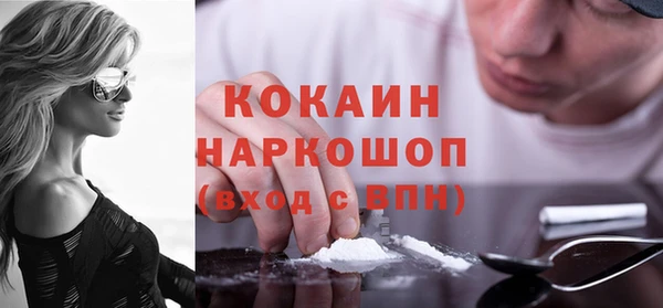 дживик Богородицк