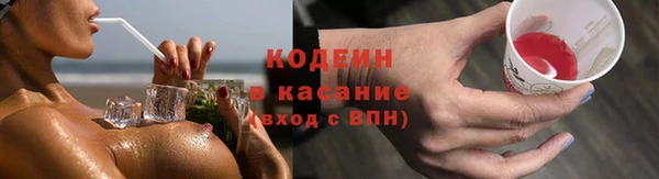 сатива Беломорск