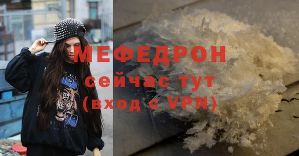 сатива Беломорск